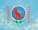 金星、實(shí)驗(yàn)藝術(shù)幼兒園