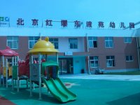 幼兒園出操啦！