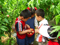 幼兒園各類活動(dòng)留念